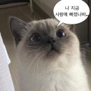 무드엔트리 | 해방촌 데이트로 강추하는 느좋 와인바 '선셋무드' 솔직리뷰
