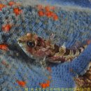 원장목장 이미지