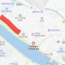 대구 금호강 지저동 벚꽃길 실시간 만개 | 아양교 근처 벚꽃터널 산책 명소