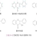 이론1) 안토잔틴, 생강, 아연 구리 이미지