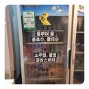 오리고집 이미지