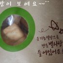 엘리아어린이집 | [초록마을]추억의 영양 간식, 초록마을 유기농 현미로 만든 현미건빵! 남녀노소 함께 즐기는 주전부리...