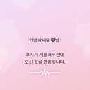 꼬시기 티스토리