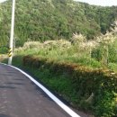 형재 농장 이미지