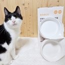 대지로4L 이미지