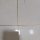 화금화장실 이미지