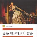 괴테의 젊은 베르테르의 슬픔 이미지