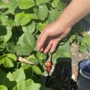 더 베이 630 | [미국/뉴욕] 230526_뉴욕여행 3일차 : 미국결혼식장/뉴욕대형쇼핑몰/퀸즈 쇼핑몰/Roosevelt field...