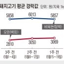 축산물 출하정보＜돼지＞(5월15일∼5월19일) 물량증가에도 가격 소폭 하락 이미지