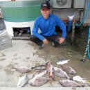 k3바다낚시터 이미지