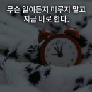 개인화물1272