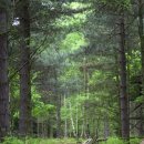 트루러브 이미지