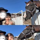 보름이네분식 | 세 살 아기와 제주도 보름 살기(7)