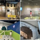 초등 역사 | 대구 근교 아이랑 가볼만한곳 칠곡 호국평화기념관 키즈카페 예약 근처식당