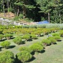 자연장지 이미지