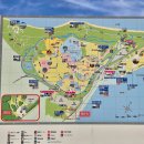 둔배미공원 페달로옆 | 후쿠오카 우미노나카미치 해변공원 : 카피바라 동물원 아이랑 가볼 만한 곳 추천