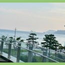 엘시티리턴의원 네이버블로그
