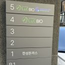 강남대로97길 37 (1) | [신사|한성돈까스] 신사의 터줏대감 돈까스집