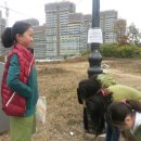 용미초등학교 Daum카페