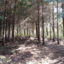 석현마을 이미지