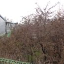 추학보건진료소 이미지