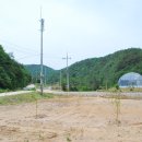 인석농장 이미지