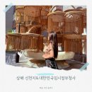 [상해 신천지] 대한민국임시정부청사 시간 신천지쇼핑센터 Xintiandi