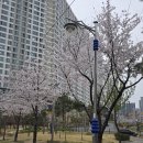 국수랑 | 충무랑 국수랑 후기 | 가성비를 넘어선 정성의 맛을 지닌 창포동 충무김밥 맛집