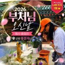 2026 양평 용문사 부처님오신날 행사 석가탄신일 방문후기