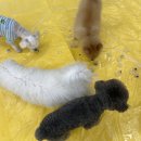 송산유치원 이미지