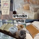 (주)테라커피 | 창원 카스테라 맛집 선물하기 좋은 유카스테라 양덕점 방문 후기