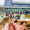 쥬니멀 전시장 | 청주실내동물원 쥬니멀 아이랑 방문후기