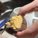 파리바게뜨 분당수내점 | 가성비 분당 빵 맛집 서현 '루엘제빵소'