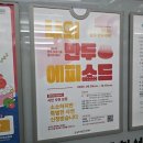 초원왕만두김밥 | 251025 원주만두축제를 다녀오다 (feat. 또띠네 제과점)