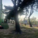 을숙도 리틀야구장 이미지