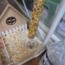 크린토피아코인워시롯데마트신갈점 | 월동준비 !