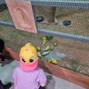 포니랜드 이미지