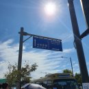 홍은농원 | 경기도 양주 가볼만한곳 나리공원 천일홍 축제 후기 2