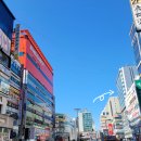 홍채랑 | 안산 월드코인 홍채 인증 후기