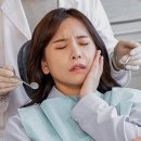 포독스1 이미지