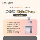 유구동물병원 네이버블로그