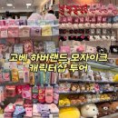 캐릭터전문샵 용팔이인형 | 고베 하버랜드 모자이크 캐릭터샵 투어｜산리오·키디랜드·스누피·토토로 쇼핑 후기