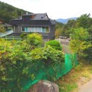 냉정천 네이버블로그