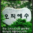 카우퍼 네이버블로그