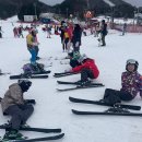 관창초등학교 이미지