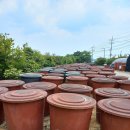 대오농장 이미지