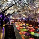 진해벚꽃공인중개사사무소 이미지