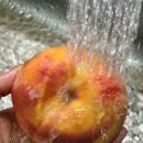 딜리셔리
