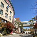 서촌로20번길 이미지