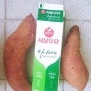 토르농장 이미지